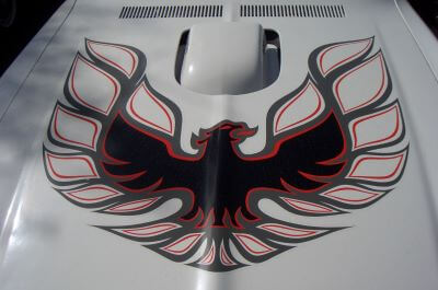Car Hood
